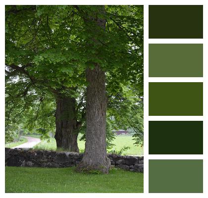 Trees Church Wall Stone Wall Image